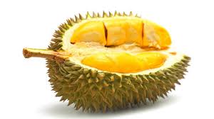 Kumpulan foto dan gambar buah durian berwarna merah dan kuning. 5 Bahaya Di Balik Manis Dan Lezatnya Buah Durian Bisa Menaikkan Kolesterol Dan Gula Darah Tribunstyle Com