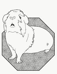 Smart, cute, adorable and loving, guinea pigs make the best pets. Zentangle Guinea Pig Coloring Pages Novocom Top