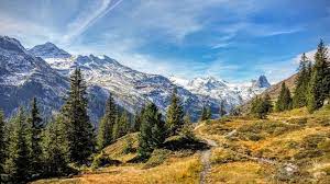 Check spelling or type a new query. Wandern In Vals Panoramaweg Zum Zervreila Stausee