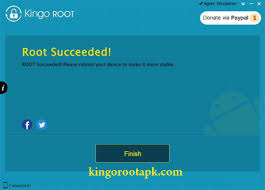 Hasil gambar untuk kingo root