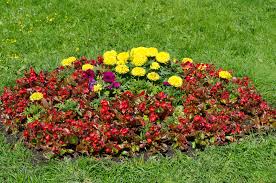 Results 1 to 10 of 10. Kleines Gartenbeet Gestalten Schone Ideen Tipps Und Tricks