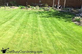 I called torrey and he did my lawn the same day. Lawn Mowing Patterns Techniques How To Cut Grass Like A Pro