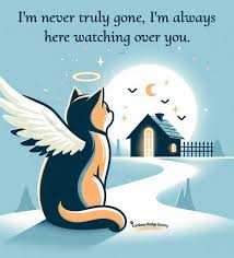 Susan Cheadle (birdlady181693)