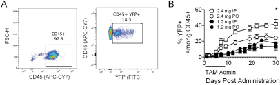 The names have slipped in popularity since then, and are currently of sporadic use. Optimization Of Tamoxifen Induced Cre Activity And Its Effect On Immune Cell Populations Scientific Reports