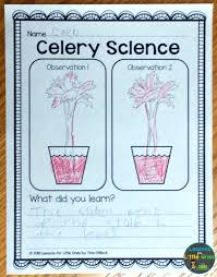 Plants Science Experiments Teaching How Plants Grow Lessons For Little Ones By Tina O Block Plants Science Experiments Plant Science Plant Lessons