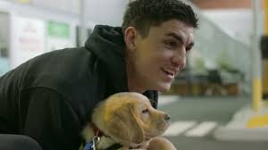 Meet Brayden Maynard, Vision Australia Seeing Eye Dogs new ambassador
