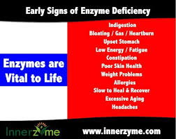 Pin On Enzyme Therapy Innerzyme