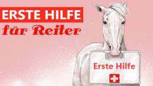 Der als lance und cole vom pferd stürzen, werden sie nicht von lorenzo lamas und billy r. Erste Hilfe Nach Dem Sturz Vom Pferd Was Jeder Reiter Wissen Sollte Herzenspferd