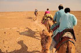 C wagon travel in wyoming have you ever wondered what it was like back in the wild west? How To Ride A Camel Stay Safe In The Desert