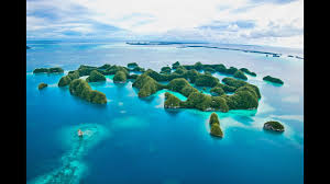 We Offer Small Flexible Flawlessly Organized Dive Adventures In Palau For many divers, palau is the holy grail of scuba diving. dive adventures in palau