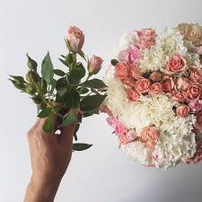 Check spelling or type a new query. Bloombox Dublin Bloombox Ie Twitter