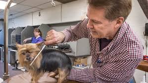 This course teaches intermediate grooming skills necessary for dogs encountered in a typical grooming salon. Groomer To Turn In Clippers After 48 Years
