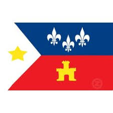 Black And Silver American Flag Meaning Cajun Flag Louisiana Culture New Orleans Louisiana Louisiana History