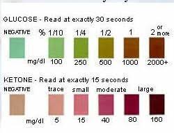 78 methodical colour chart for urine test strips