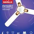 Carnesia I - Havells IOT FAN product image