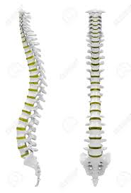 Maybe you would like to learn more about one of these? The Backbone Stock Photo Picture And Royalty Free Image Image 26107437