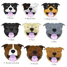 Staffie Colouring Staffy Dog Dog Collar Tags Terrier