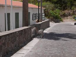 Saba — A Tiny Island Haven. And home to the highest point of land…