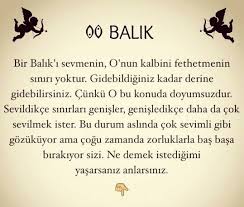 Oclskn71 Yay Burcu Burclar Gercekler