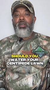 Water centipedegrass with 1/2 to 1 inch of water if it has not rained for  one or two weeks, especially if temperatures are expected to dip below 25  degrees Fahrenheit. This helps prevent the grass ...