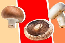 Side effects are carcinogenic and allergy if taken raw. The Difference Between Cremini Button And Portobello Mushrooms Eater