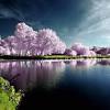 Spring or summer season abstract nature background. 1
