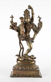 Image result for Coleotrype laurentii