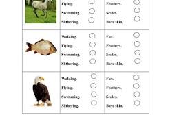 Image of Elementary school science test on animals
