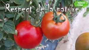 Cueillette A La Ferme