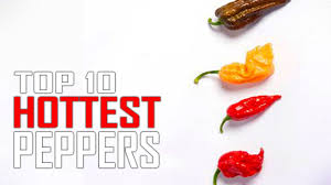 Top 10 Worlds Hottest Peppers In The World Is Ghost Pepper 1