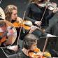 “Violin & Guitar”:ARCO Chamber Orchestra event image