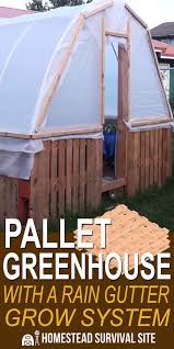 See more ideas about gutter garden, harbor freight greenhouse, greenhouse plans. Pallet Greenhouse With A Rain Gutter Grow System Pallet Greenhouse Greenhouse Greenhouse Plans