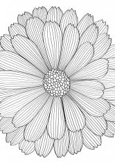 Hochzeit gif whatsapp / glückwünsche zur hochzeit. Raskraski Dlya Vzroslyh Skachat I Raspechatat Besplatno