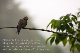 Thou rascal, that art worst in blood to run, lead'st first to win some vantage. Harmless As A Dove Sweet Rains