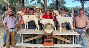 Continental Amateur Field Trial Club