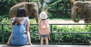 Jun 02, 2021 · wisatawan mengunjungi bandung zoological garden atau kebun binatang bandung, jalan tamansari, kota bandung, rabu 2 juni 2021. Liburan Seru Ini 5 Manfaat Ajak Anak Ke Kebun Binatang