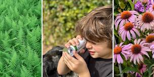 Mini Microscope Monday (Ages 3+)