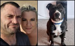 💔🐾🌈 RIP Khaos