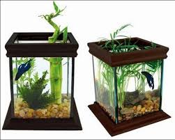 Aquarium ini memiliki bentuk yang unik layaknya block lego sehingga jika aquarium ini ditumpuk aquarium ini memiliki bentuk yang tidak terlalu besar sehingga dapat digunakan pada ruangan yang. The Best Aquarium Ideas For Android Apk Download