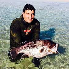 Teenager Killed By Five Metre Shark While Spearfishing In Area Notorious For Great Whites Off Western Australia Daily Mail Online
