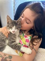 Animaux perdus/retrouvés Grand Gaspé