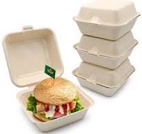 Biodegradable Sugarcane Bagasse Paper Burger Box to Go Fast Food Packaging  Container