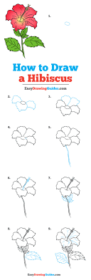 How To Draw A Hibiscus Really Easy Drawing Tutorial The word zombie has roots in african languages meaning fetish, and god. how to draw a hibiscus really easy