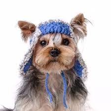 Trapper Hat For Dogs Aviator Hat For Dog Dog Ear Cap Winter Hats For Dogs Dog Earflap Hat Hats For Dogs To Wear Knitted Hat For Dog Dog Hat Puppy Hats