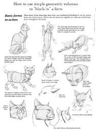 Drawingfusion Com Cat Drawing Tutorial Animal Drawings Cat Anatomy