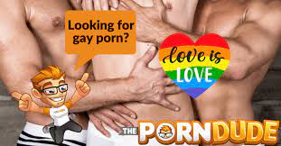 Here is why there is no gay porn on ThePornDude.com | Porn Dude – Blog