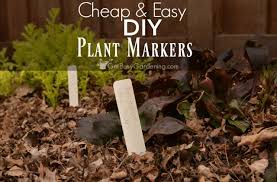 Plant labels help you remember what you planted and where. Diy Plant Label Markers Step By Step Process