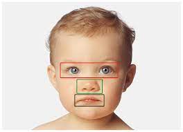 10 Baby Face Bias 3 5 How Can I Increase The Appeal Of A Design Ideas Baby Face Face Appealing