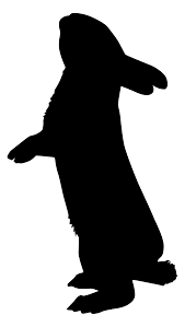 Pikbest a trouvé 103374 animal de lapin des modèles d'images de conception pour des applications commerciales personnelles utilisables. Animaux Silhouettes Visuels L214