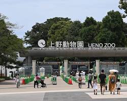 上野動物園的圖片